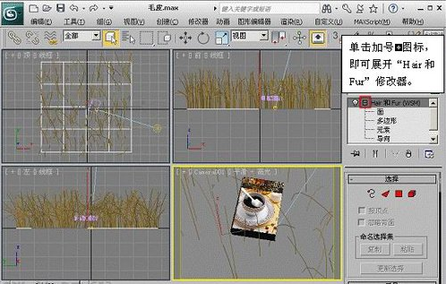 3ds Max教程：解析材质中的毛皮质感(3dmax毛绒材质)